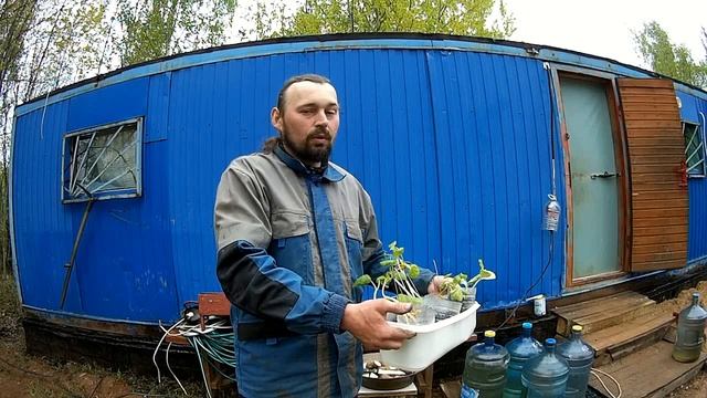 Как Размножить в Несколько Раз Картофель - Жизнь в Деревне смотреть онлайн