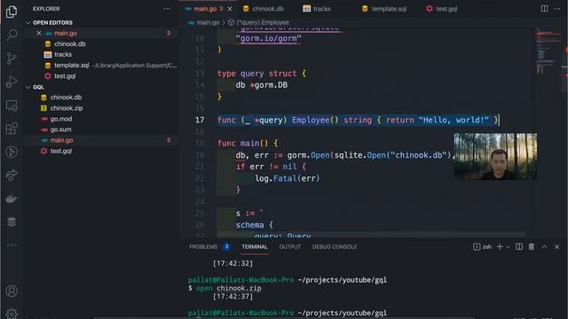 Go GraphQL смотреть онлайн