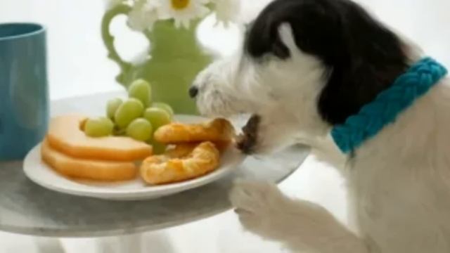 ?Истории из жизни?Потерян к жизни интерес, но всё в скором времени встало на место?Жизненные истори смотреть онлайн