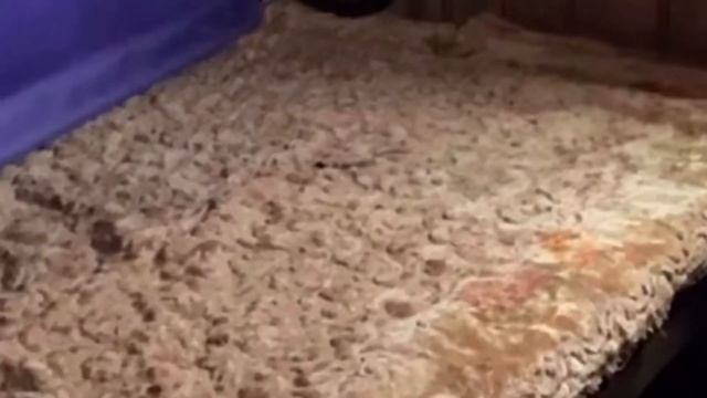 24.01.20. Льняной утеплитель и мыши... смотреть онлайн