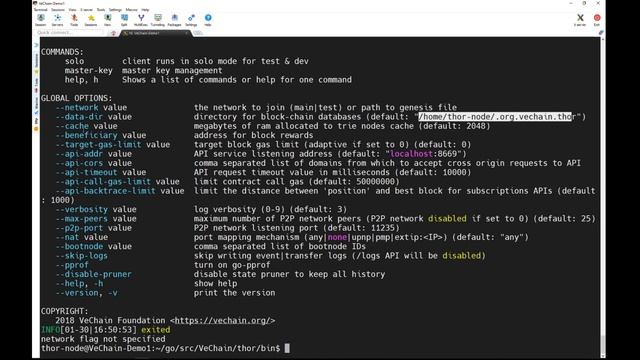 Coding on VeChainThor - Install a VeChainThor Node on Linux смотреть онлайн