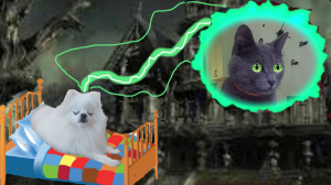 Путешествуем по СНАМ Шанельки! Сиреноголовый НАПАЛ на Анису!!!