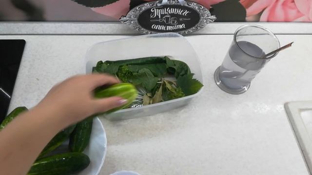 Влоги с Путешествиями