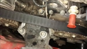 Замена Ремня ГРМ Peugeot Citroen 1.9d DW8 Метки ГРМ