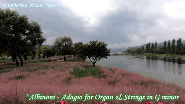 Albinoni - Adagio for Organ & Strings in G minor смотреть онлайн
