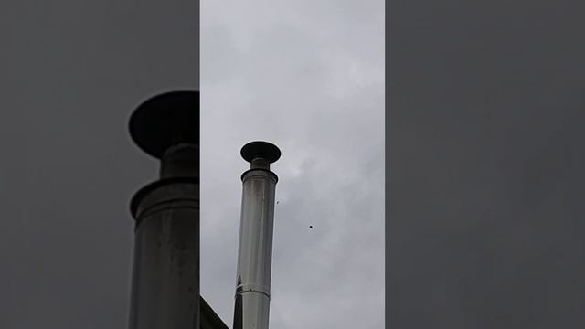 Чистка дымохода осиновыми дровами смотреть онлайн