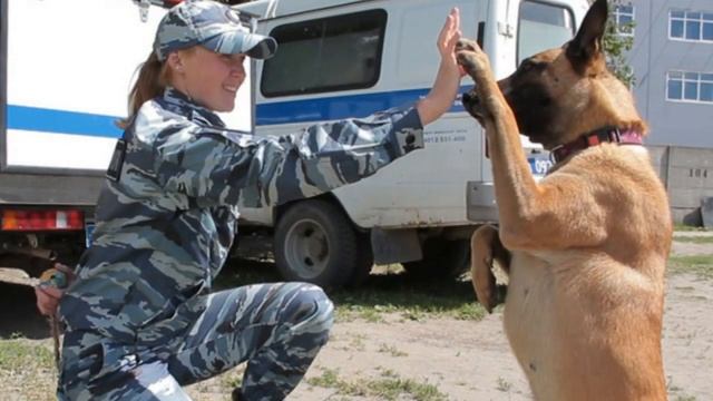 Девушка приютила двухмесячную собачку, но кроха невзлюбила хозяйку.Нелёгкий путь к собачьему сердцу смотреть онлайн