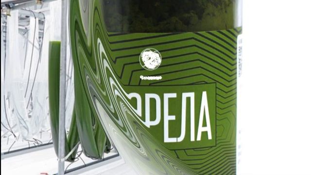 Хлорела (ІНФАСОТКА) смотреть онлайн