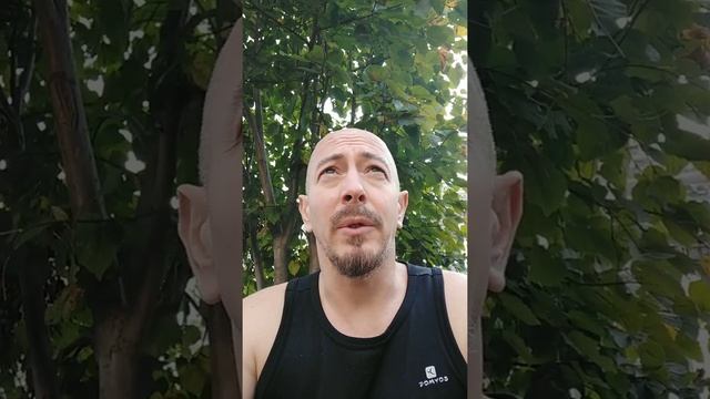 & ПОСЛЕДСТВИЯ ДВУХ НЕДЕЛЬНОГО ОТКАЗА ОТ МУЧНОГО И СЛАДКОГО смотреть онлайн