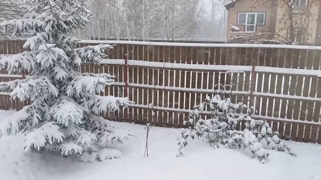 Наступила зима❄️Белочка в лесу ?️ смотреть онлайн