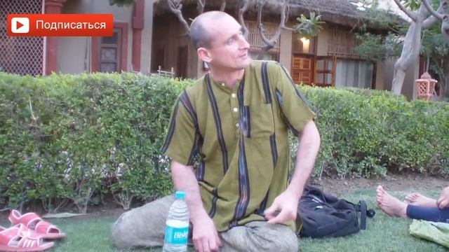 Как вырастить Туласи в домашних условиях? Как посадить и выращивать туласи? Аннада смотреть онлайн