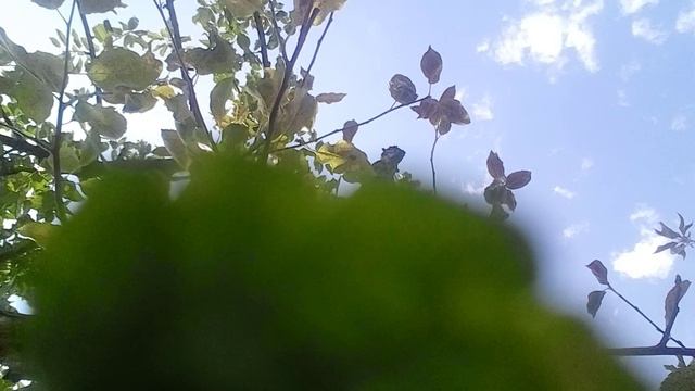 20240908_125342.mp4 смотреть онлайн