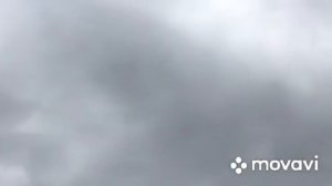 Голуби Турецкая Такла! Бой-Лёт-Игра! Pigeons Turkish Takla!