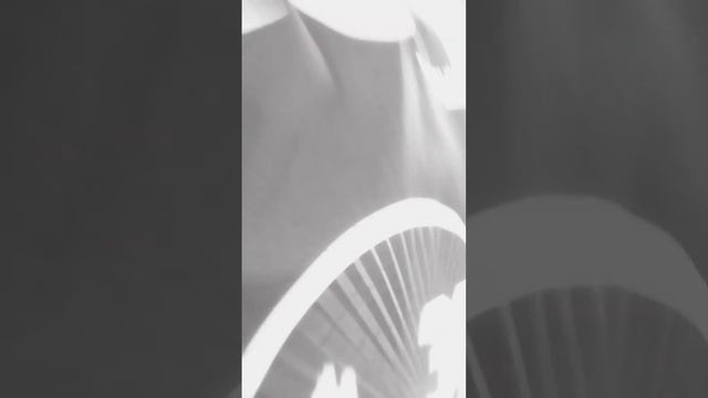 подарила 🥰😊 извините что чёрно белое я нечаянно 😶#ромашки #подарок смотреть онлайн