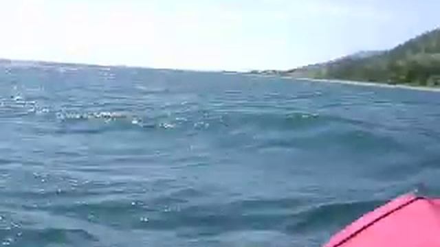 Байдарки волна 2016 смотреть онлайн