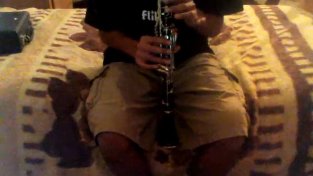 Danger Line - Avenged Sevenfold (Clarinet Cover) смотреть онлайн