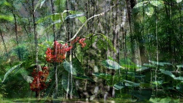 Видео для медитации и очищения сознания смотреть онлайн