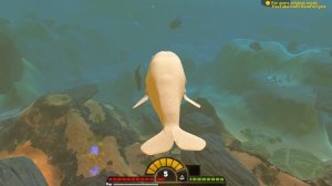 НОВЫЙ СЕКРЕТНЫЙ КИТ, БЕЛЫЙ КИТ КАШАЛОТ | Feed and Grow Fish