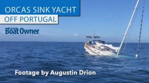 Затопление яхты, атакованной касатками