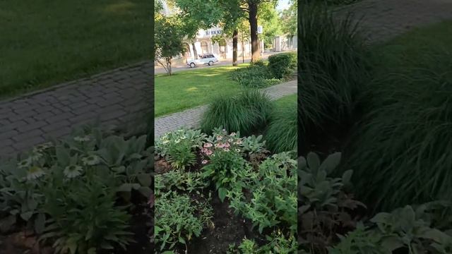 А ЗАВТРАКА, СЕГОДНЯ НЕ БУДЕТ смотреть онлайн