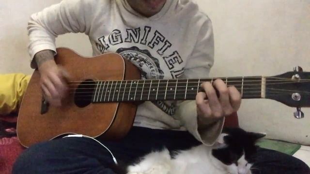 Sound Test Cowboy GW-120 NS Guitar смотреть онлайн