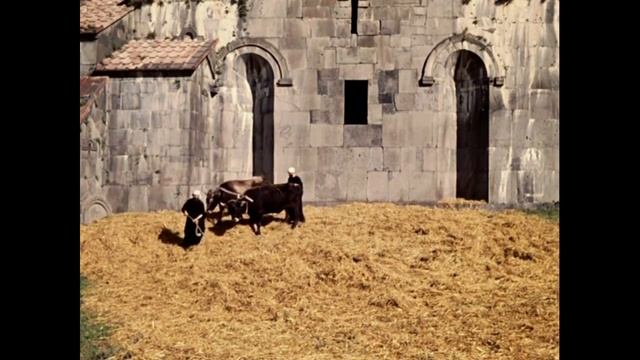 COLOR OF POMEGRANATES / ЦВЕТ ГРАНАТА (score By Kalya Scintilla)