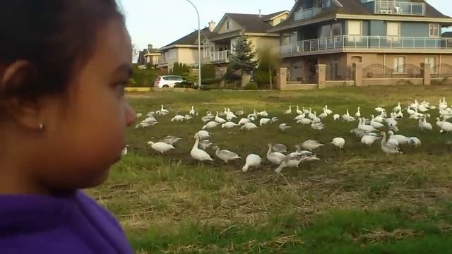 Look at all those... смотреть онлайн