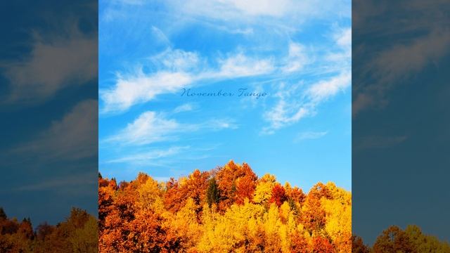 November Tango смотреть онлайн