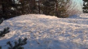 Прощание с зимой...    Сергей Грищук - Золотой сон... Sergey Grischuk - Golden dream...