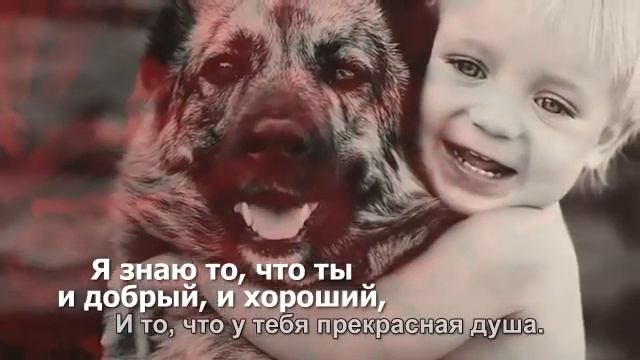 Одинокая слезинка смотреть онлайн