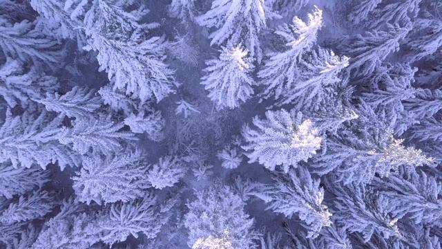 Relaxing Piano Music - BEAUTIFUL WINTER смотреть онлайн