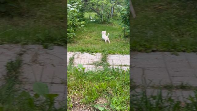 19-06-2024 смотреть онлайн