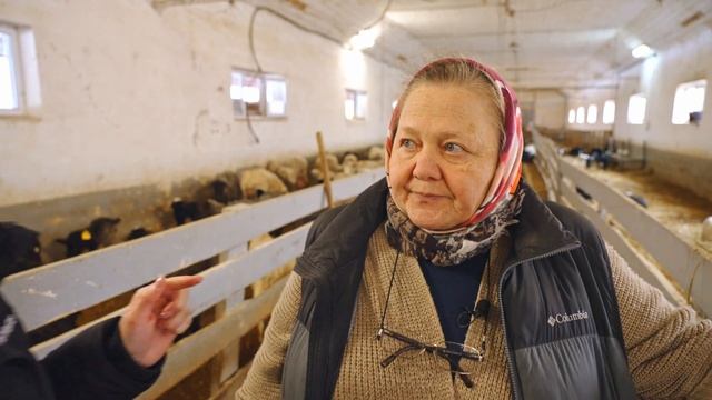 Бизнес на овцах | Содержание молочных и мясных овец | Интервью Культиватор смотреть онлайн