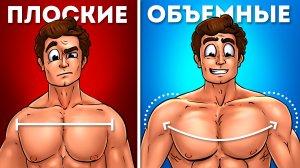 7 УПРАЖНЕНИЙ ДЛЯ РОСТА ШИРОКИХ И ОБЪЕМНЫХ ПЛЕЧ!
