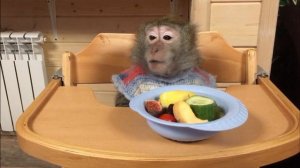 Театр одного актера: Маша и морской коктейль