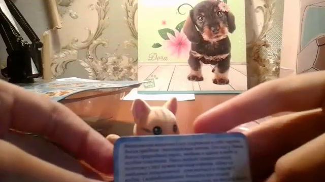 Распаковка ,, Лаки 