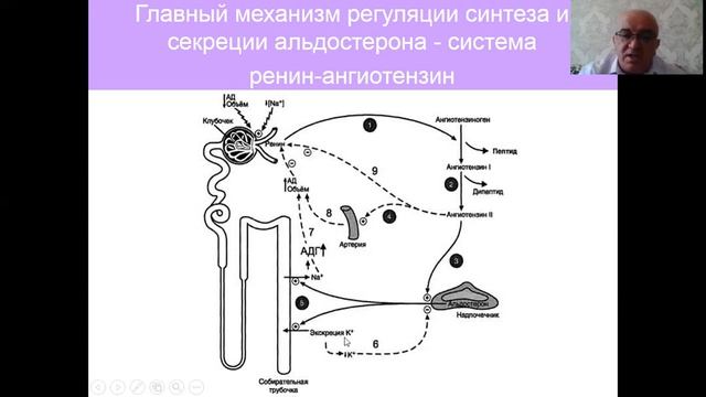 Л1 водно сол обмен смотреть онлайн