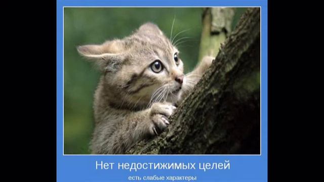 в жизни много разных сторон смотреть онлайн