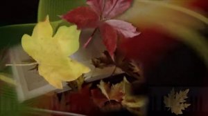 ЗОЛОТЫЕ ШАРЫ.  Автор-исполнитель ВИКТОР ДАВИДЗОН.