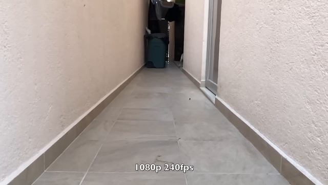 iPhone 8 Plus: Camara Test (en español) смотреть онлайн