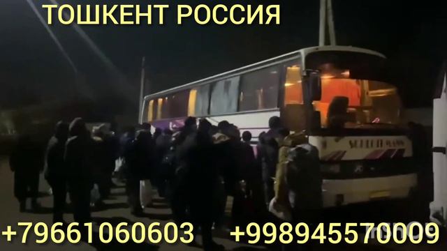 Тошкент Москва Москва тошкент АВТОБУС смотреть онлайн