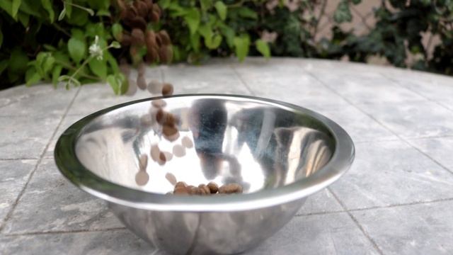 N&D (Natural&Delicious) /Safirathemutt смотреть онлайн
