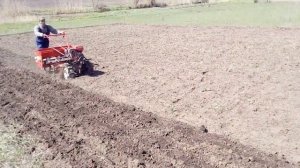 Сев эспарцета