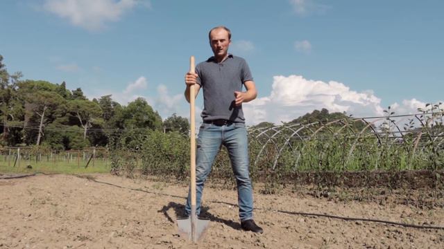 Анализ почвы смотреть онлайн