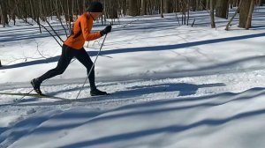 Для разбора техники классического хода