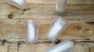 Как сделать ОТВЕРСТИЯ В СТАКАНЕ ПОД РАССАДУ и сколько? Не повторяйте наших ошибок!