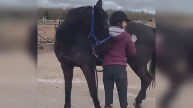 Смешные ПРИКОЛЫ 2022 № 1 смотреть онлайн