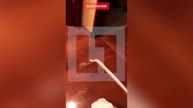 ПОКУШЕНИЕ НА РАСУЛА МИРЗАЕВА — ВИДЕО ИЗ КВАРТИРЫ смотреть онлайн