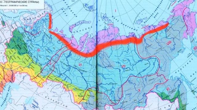 Особенности растительного и животного мира различных природно хозяйственных зон