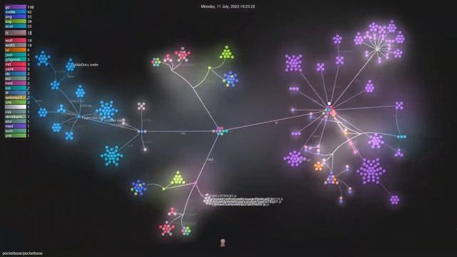 pocketbase/pocketbase - Gource visualisation смотреть онлайн